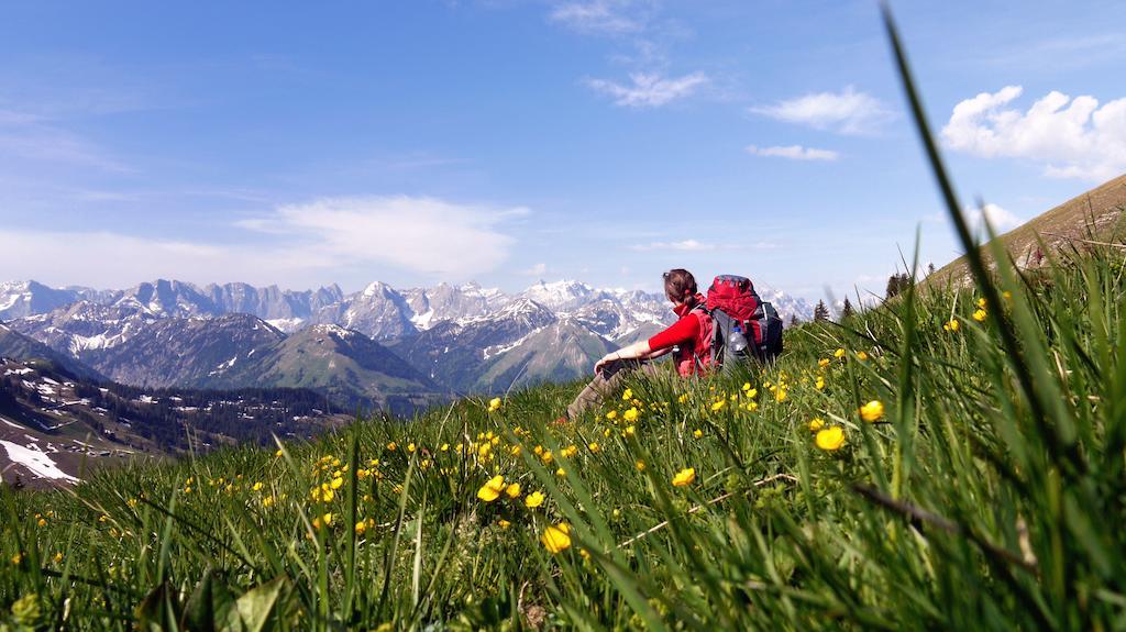 Alpen-Chalets Achensee Maurach  Esterno foto